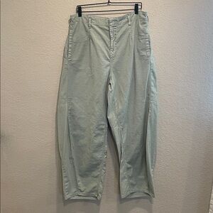 Pilcro Wide-Leg Pants in Pale Sage Green